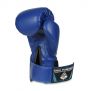 Kids Boxing Gloves (Blue) 4oz / DBX Bushido