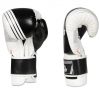 Gants de boxe adulte (noir et blanc v3) 10-14oz / DBX Bushido