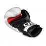 Premium-Boxhandschuhe für Erwachsene (Schwarz und Weiß) 10-14oz / DBX Bushido