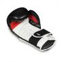 Gants de boxe adulte renforcés Pro (noir et blanc) 10-14oz / DBX Bushido