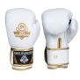 Luvas de boxe premium para adultos (ouro branco) 8-14 onças / DBX Bushido