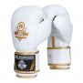 Luvas de boxe premium para adultos (ouro branco) 8-14 onças / DBX Bushido