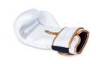 Luvas de boxe premium para adultos (ouro branco) 8-14 onças / DBX Bushido