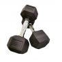 APUS HEX DUMBBELLS 17,5 KG