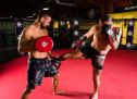 Boxning Focus Mitt - MMA Dubbelsidig / DBX Bushido