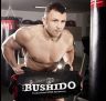 SACCA DI SABBIA BUSHIDO, SACCA DI SABBIA, CROSSTRAINING, FITNESS 35 KG / DBX Bushido