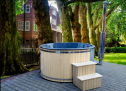 Jacuzzi baignoire de jardin Four intérieur Four à bois / Résistance au fer à repasser