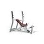 TechnoGym Selection Series Inclined Bench (rehabilitated)