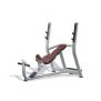 TechnoGym Selection Series Inclined Bench (rehabilitated)